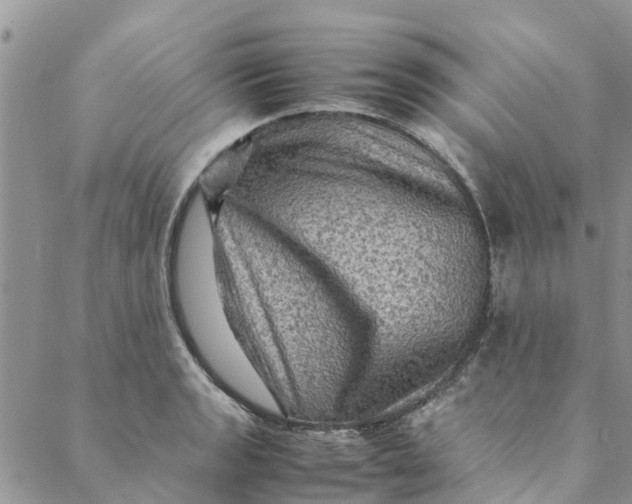 X0000088401133200706121228