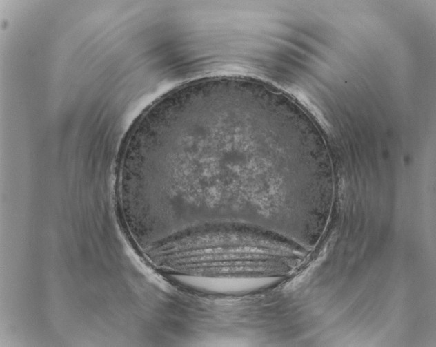 X0000088401134200706121228