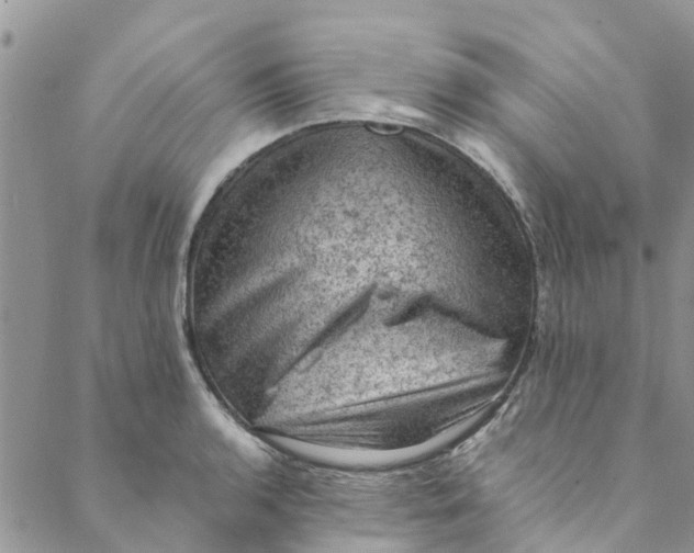 X0000088401136200706121228