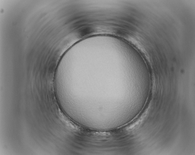 X0000088401137200706121228