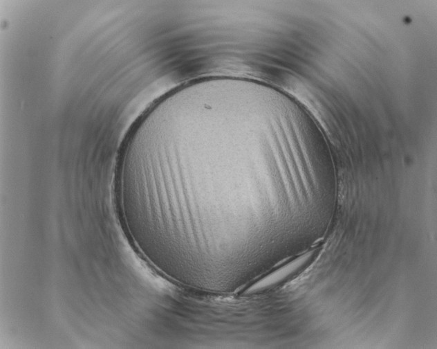 X0000088401139200706121228