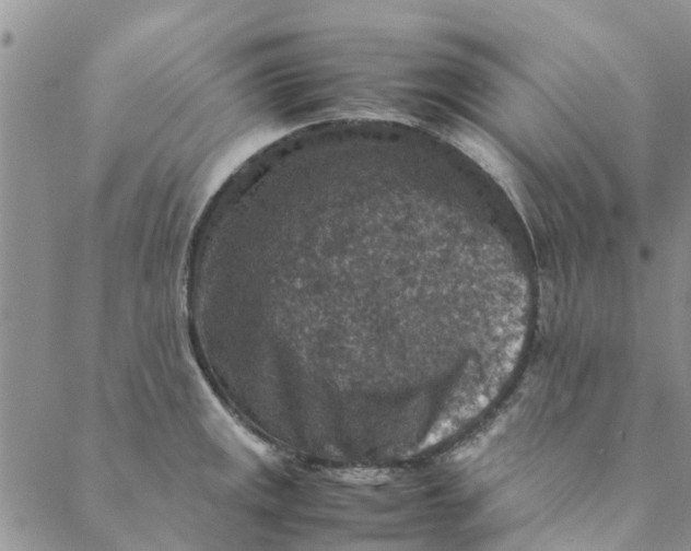 X0000088401141200706121228