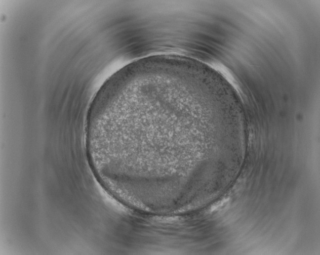 X0000088401143200706121228