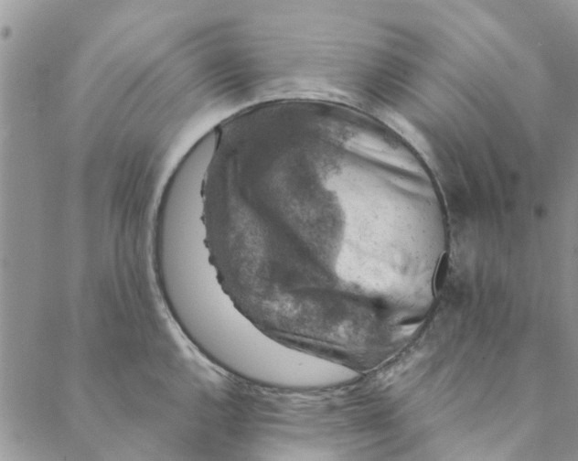 X0000088401144200706121228