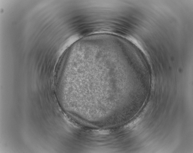 X0000088401145200706121228