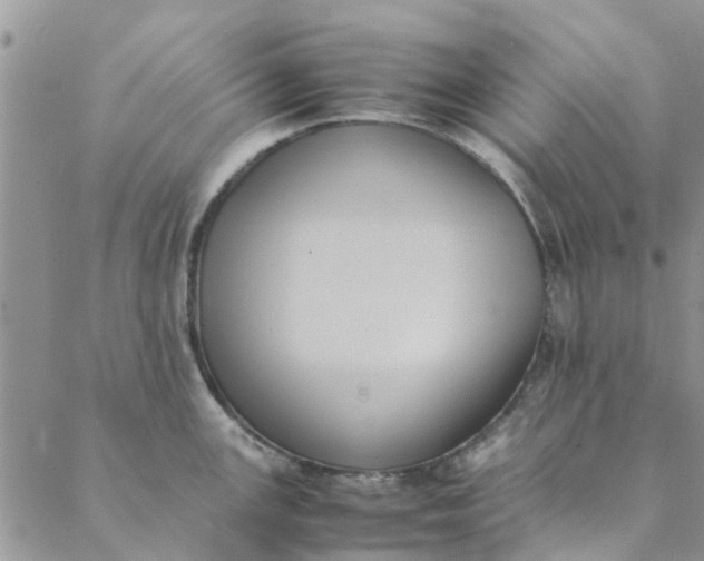 X0000088401147200706121228