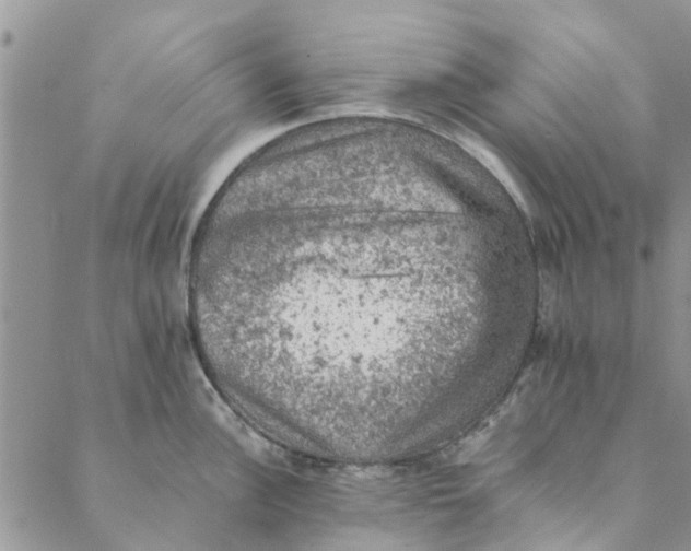 X0000088401148200706121228