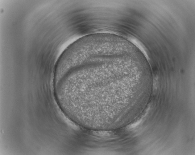 X0000088401149200706121228