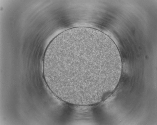 X0000088401150200706121228