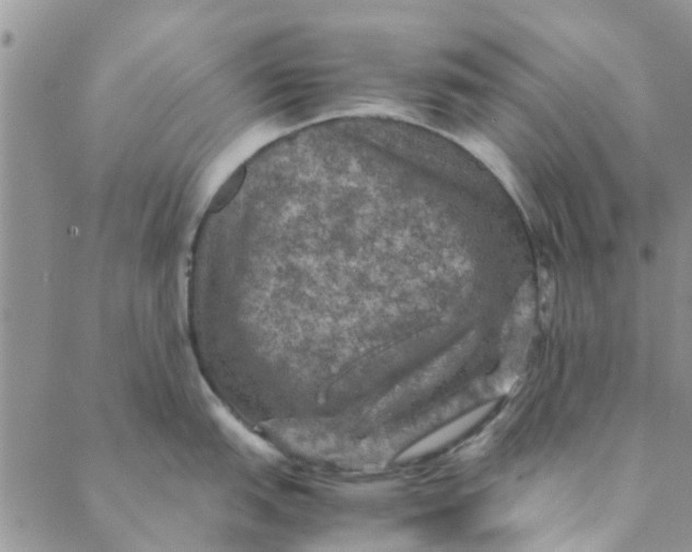 X0000088401151200706121228