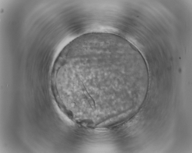 X0000088401152200706121229