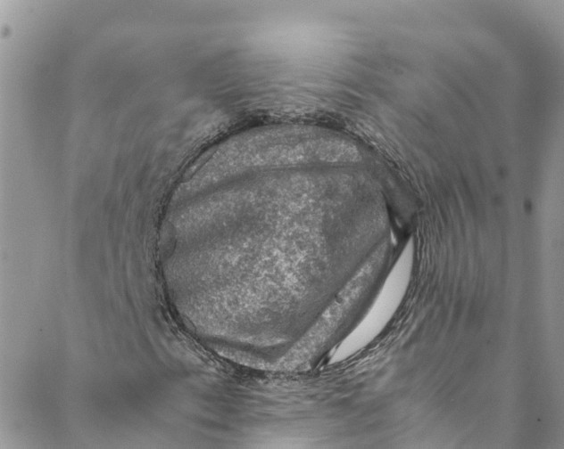 X0000088401153200706121228