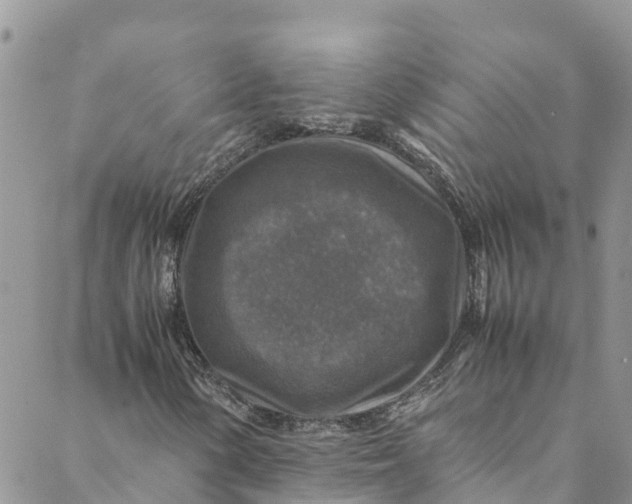 X0000088401154200706121228