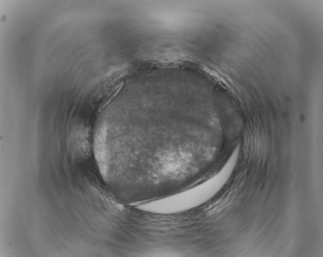 X0000088401156200706121228