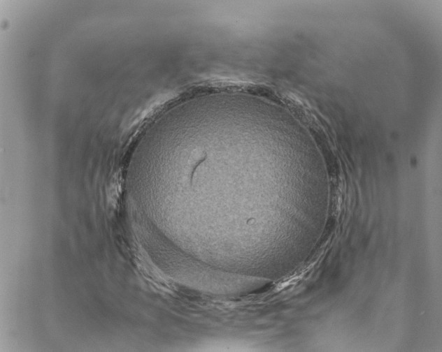 X0000088401157200706121228