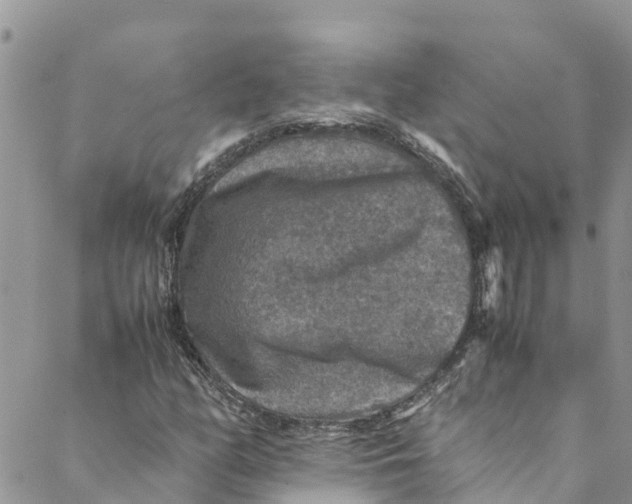 X0000088401158200706121228