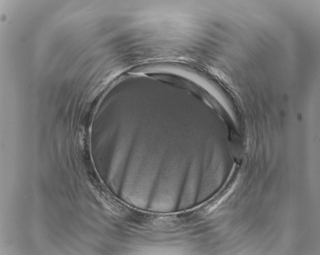 X0000088401161200706121228