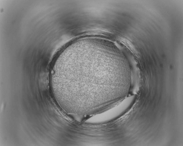 X0000088401164200706121228