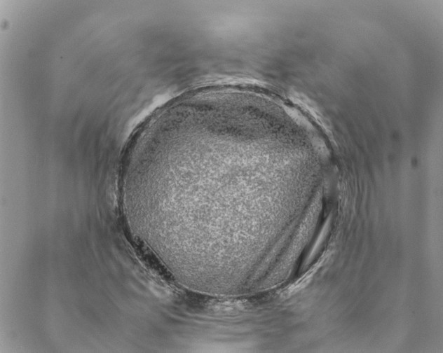 X0000088401165200706121228