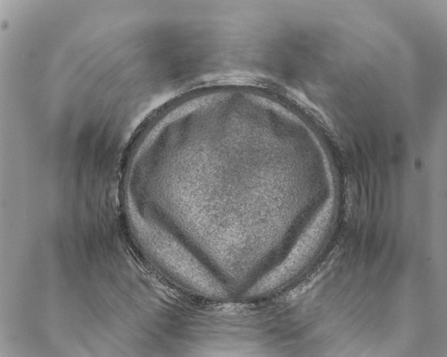 X0000088401166200706121228