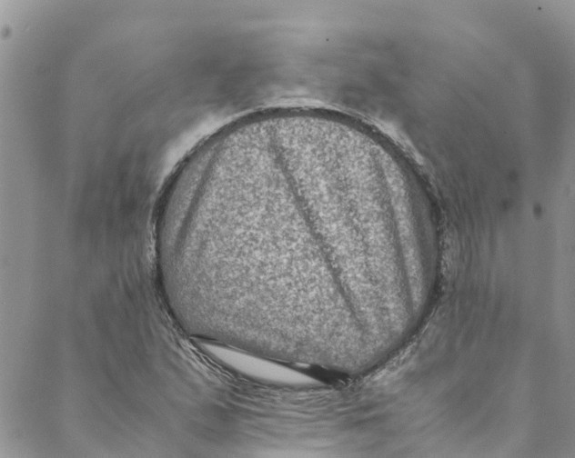 X0000088401167200706121228