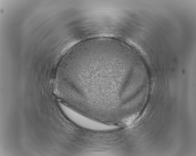 X0000088401169200706121227