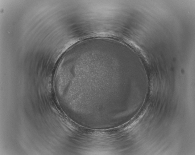 X0000088401170200706121227