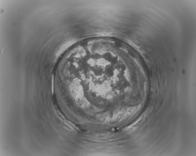 X0000088401171200706121227