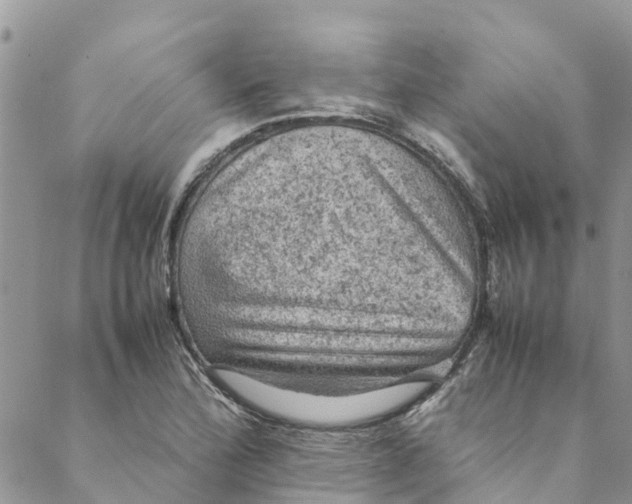 X0000088401172200706121227