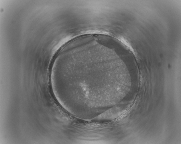 X0000088401173200706121227