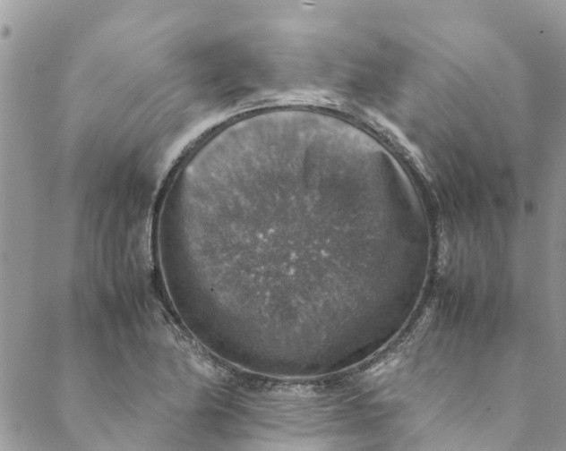 X0000088401174200706121227