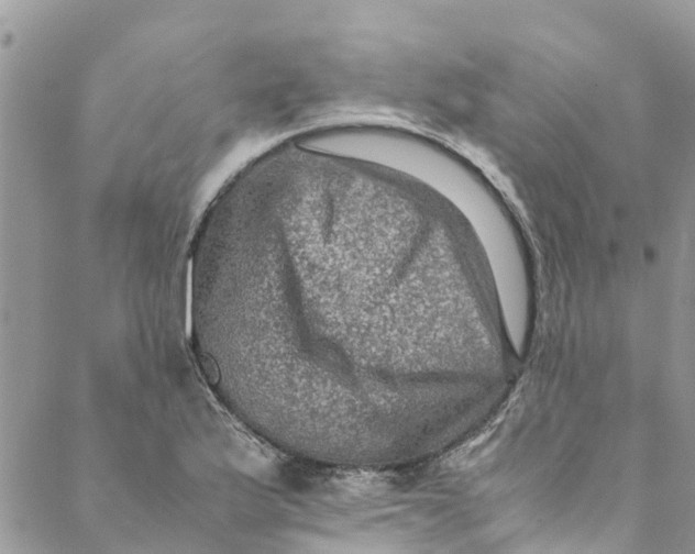 X0000088401175200706121227