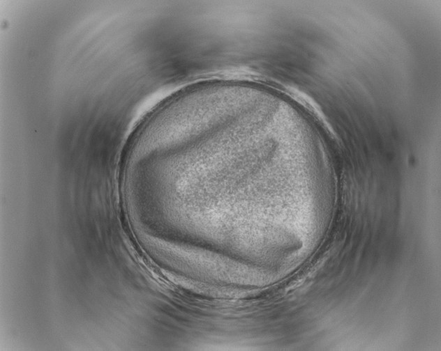 X0000088401176200706121227