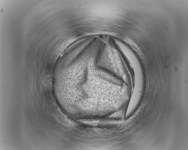 X0000088401177200706121227