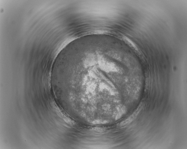 X0000088401178200706121227