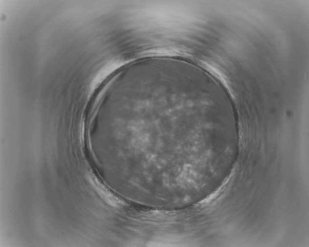 X0000088401179200706121227