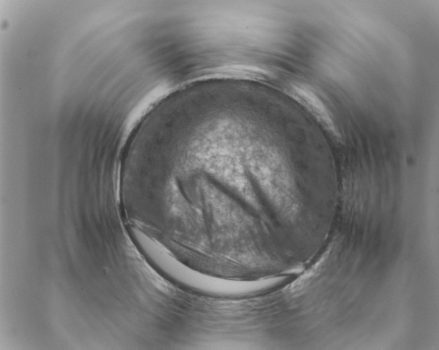 X0000088401180200706121227