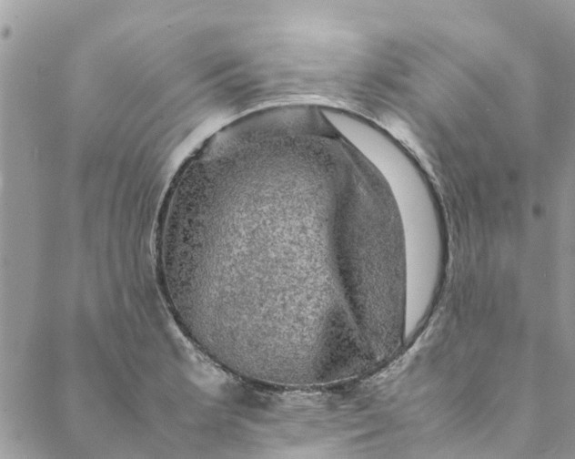 X0000088401181200706121227