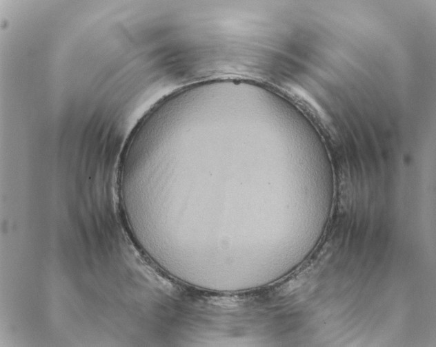 X0000088401182200706121227