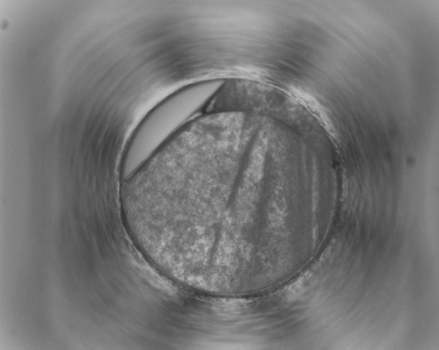 X0000088401184200706121227