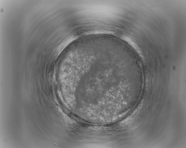 X0000088401185200706121227