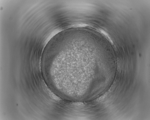 X0000088401186200706121227