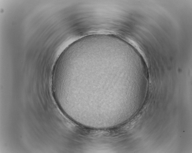 X0000088401187200706121227