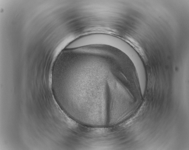 X0000088401188200706121227