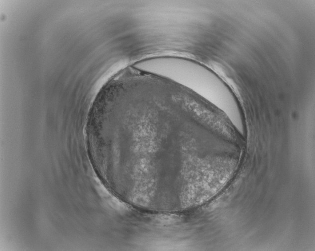 X0000088401189200706121227