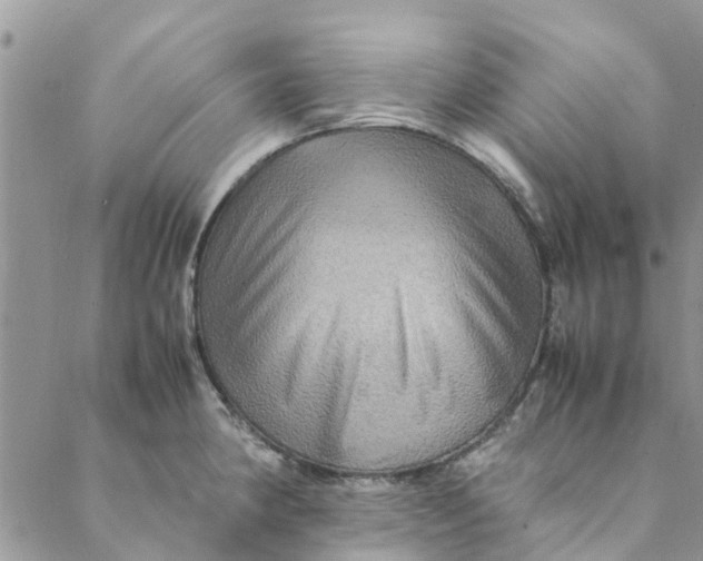 X0000088401190200706121227