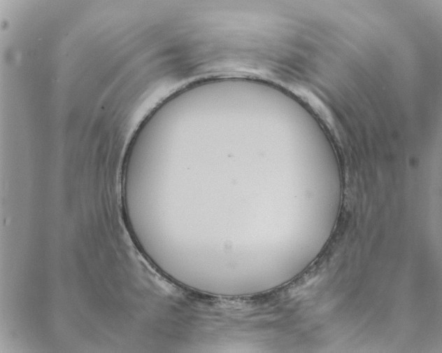 X0000088401191200706121227