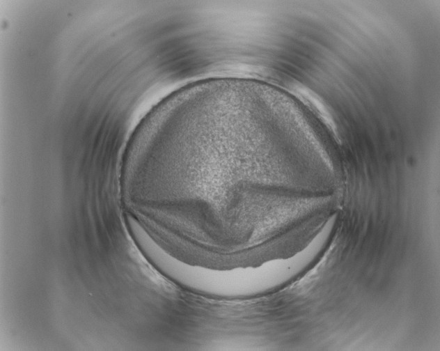 X0000088401192200706121227