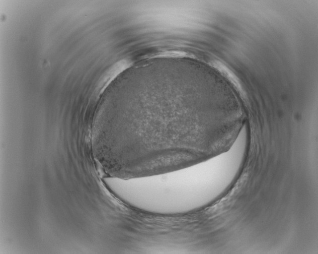 X0000088401193200706121227