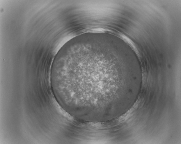 X0000088401194200706121227